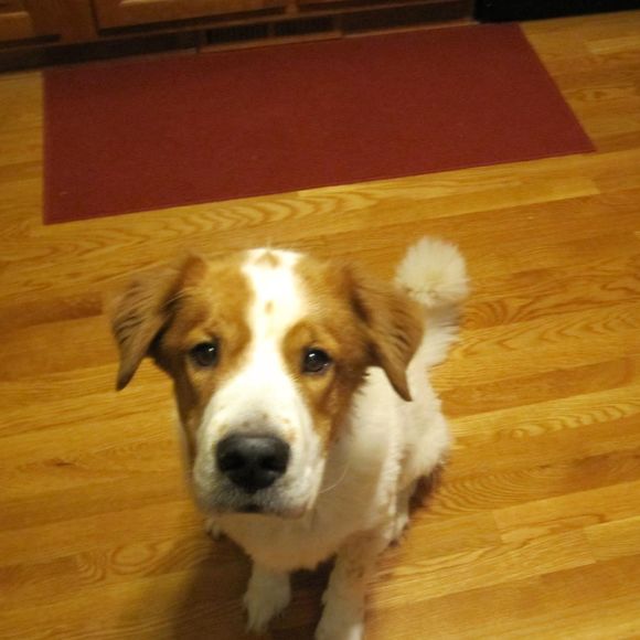 Meet your Posher, Mike - Picture 2 of 2